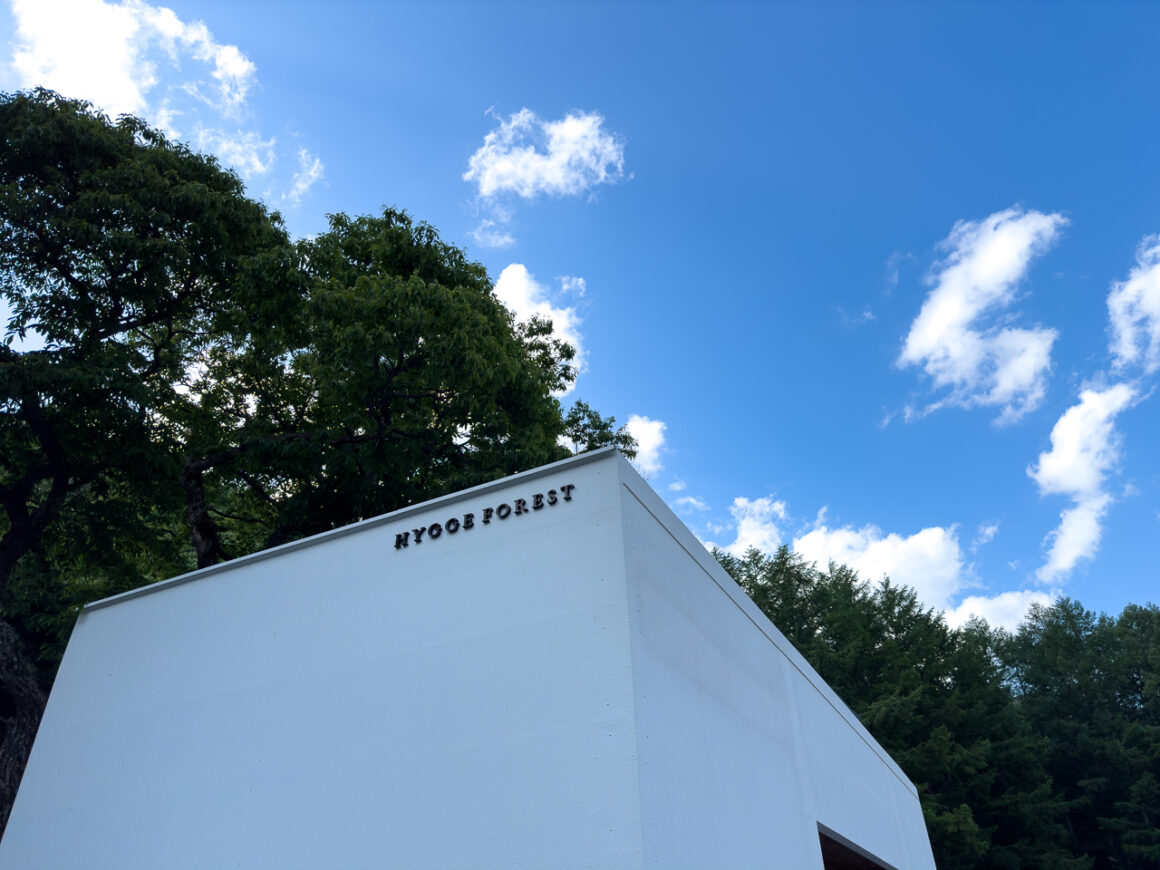 어느 봄날의 휘게포레스트 07