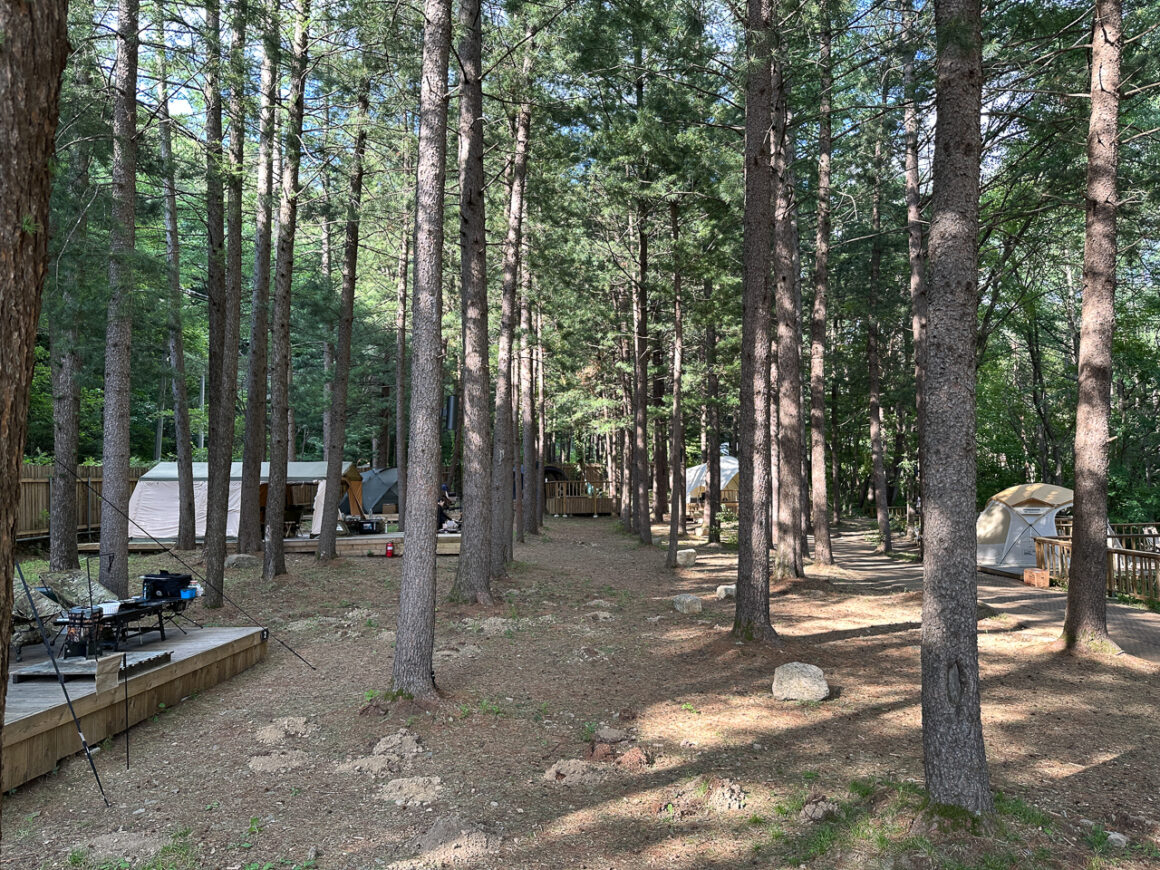 어느 봄날의 휘게포레스트 08