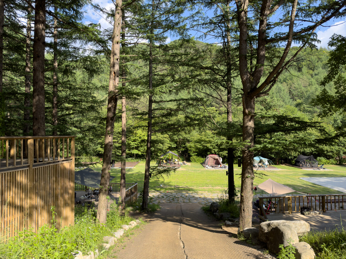 어느 봄날의 휘게포레스트 09