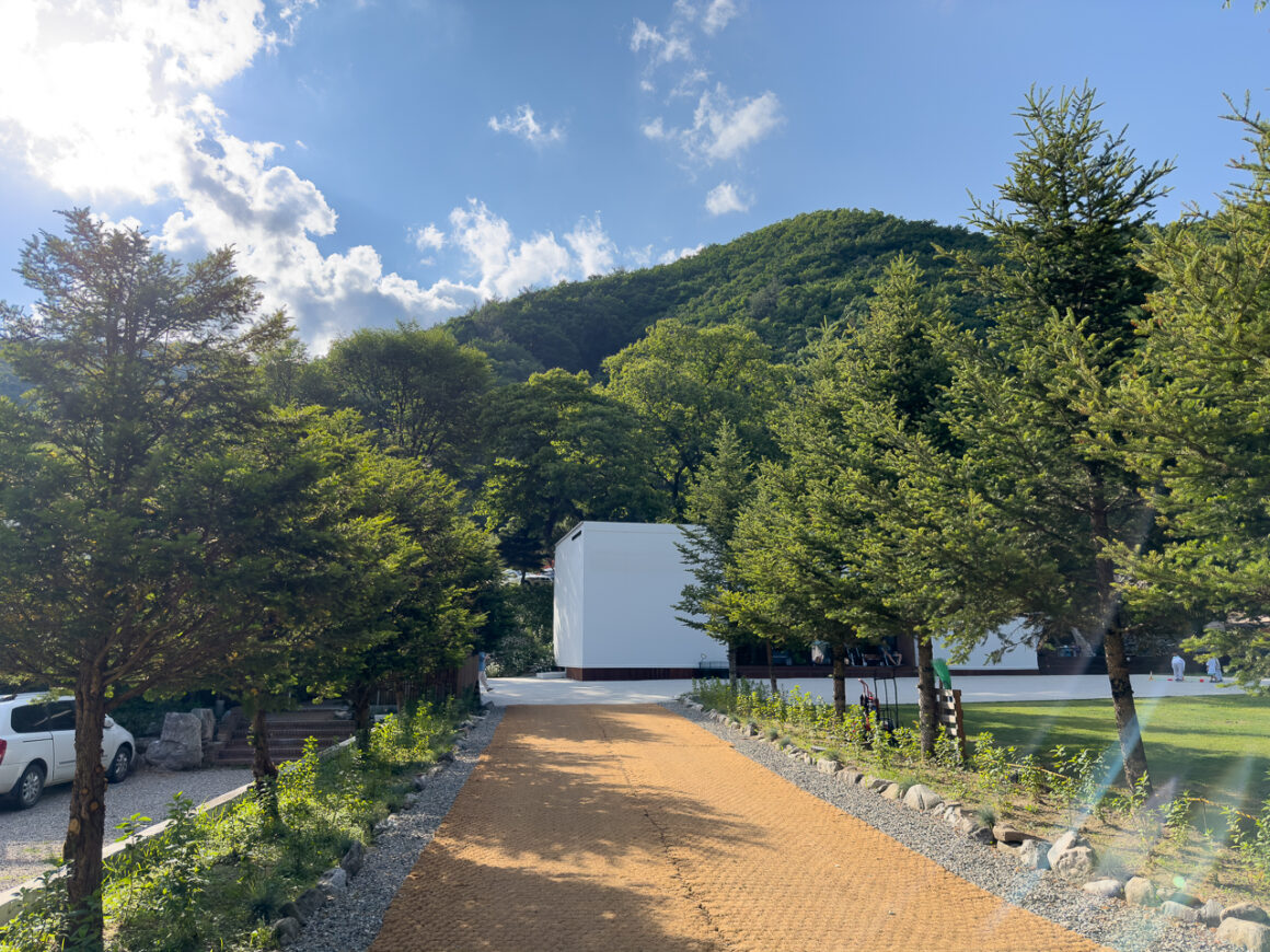 어느 봄날의 휘게포레스트 17