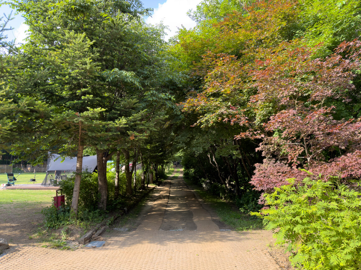 어느 봄날의 휘게포레스트 18