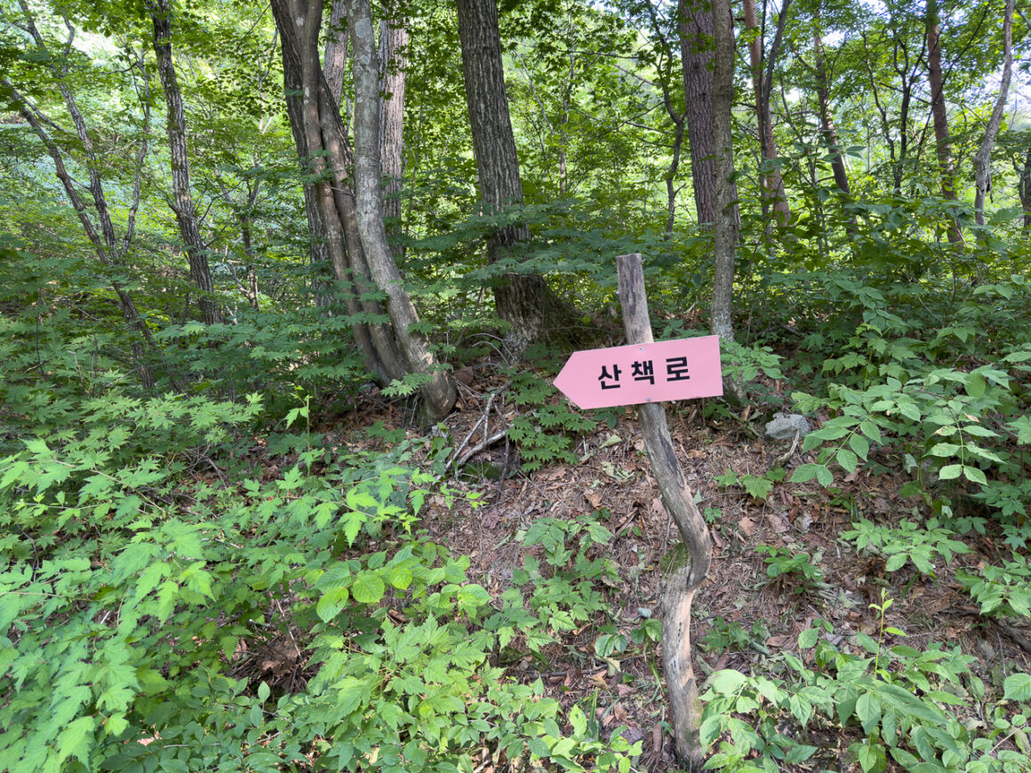 어느 봄날의 휘게포레스트 19