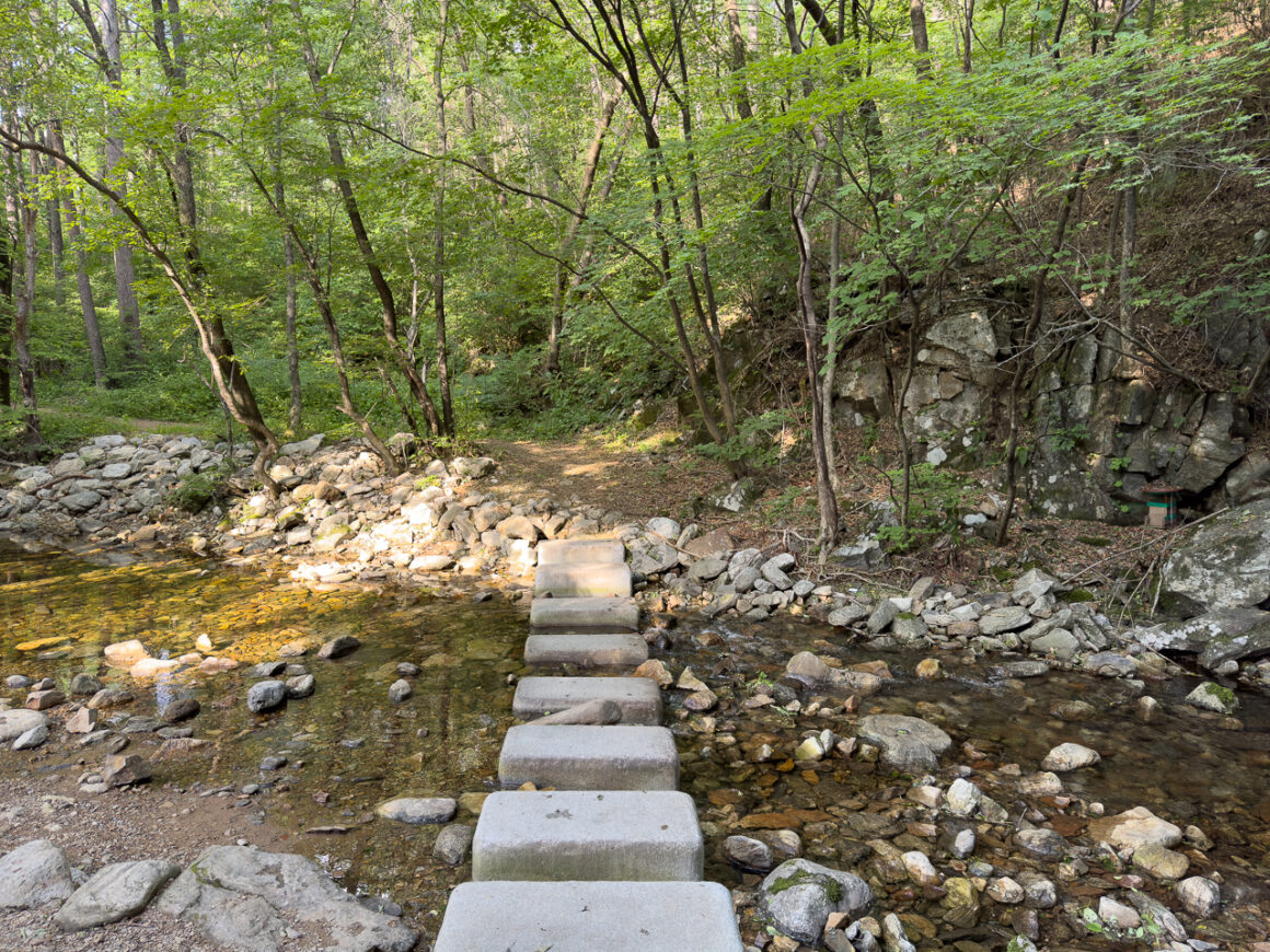 어느 봄날의 휘게포레스트 20
