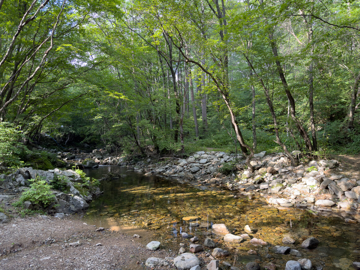 어느 봄날의 휘게포레스트 21