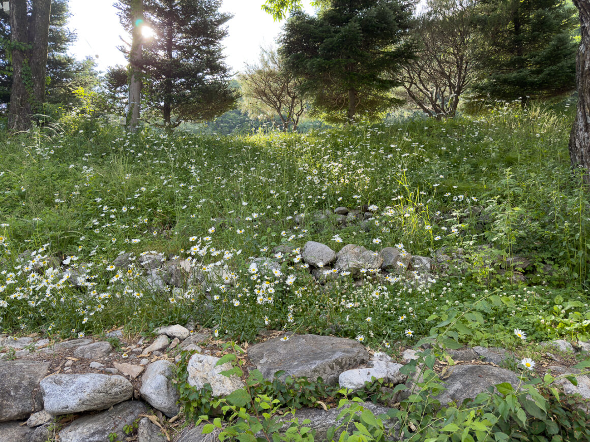 어느 봄날의 휘게포레스트 22